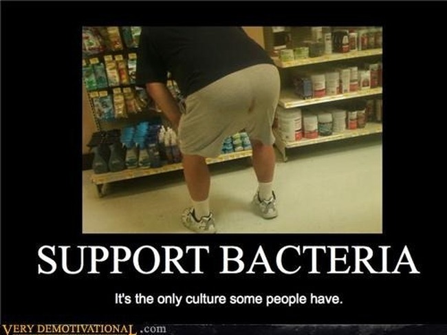 bacteria-culture