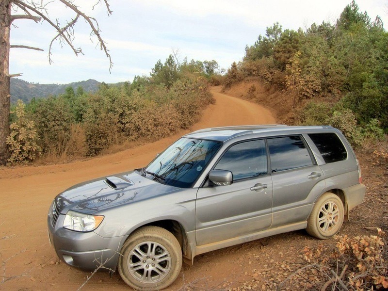 forester-2