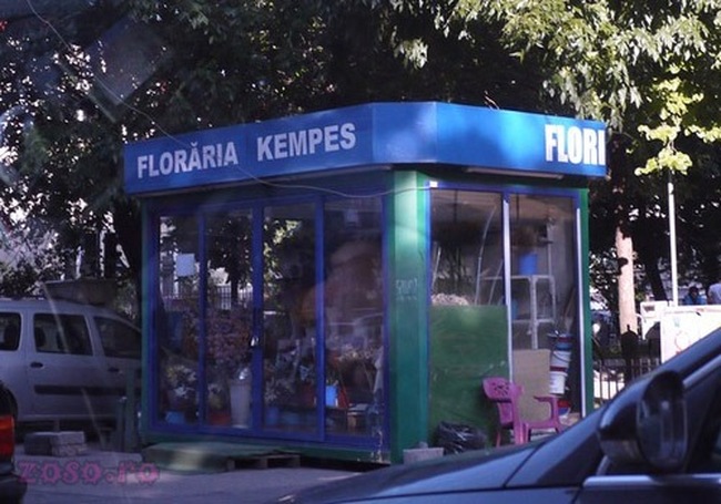 floraria_kempes
