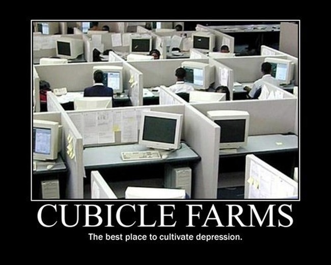 cubicle