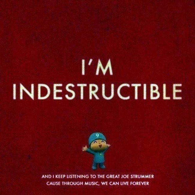 say-indestructibil