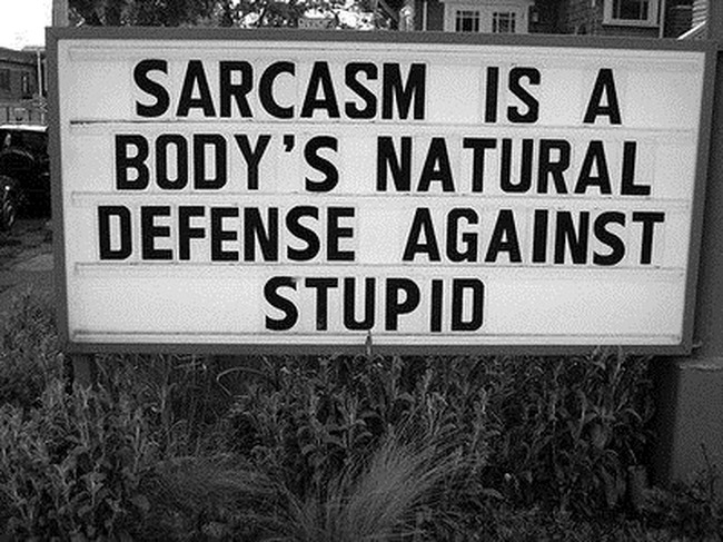 say-sarcasm2