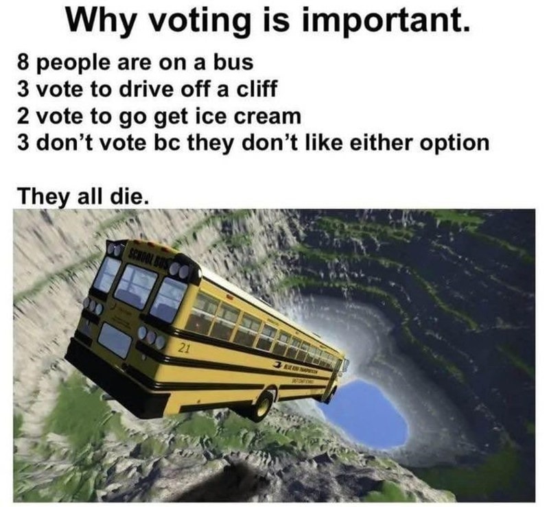 votare-politica
